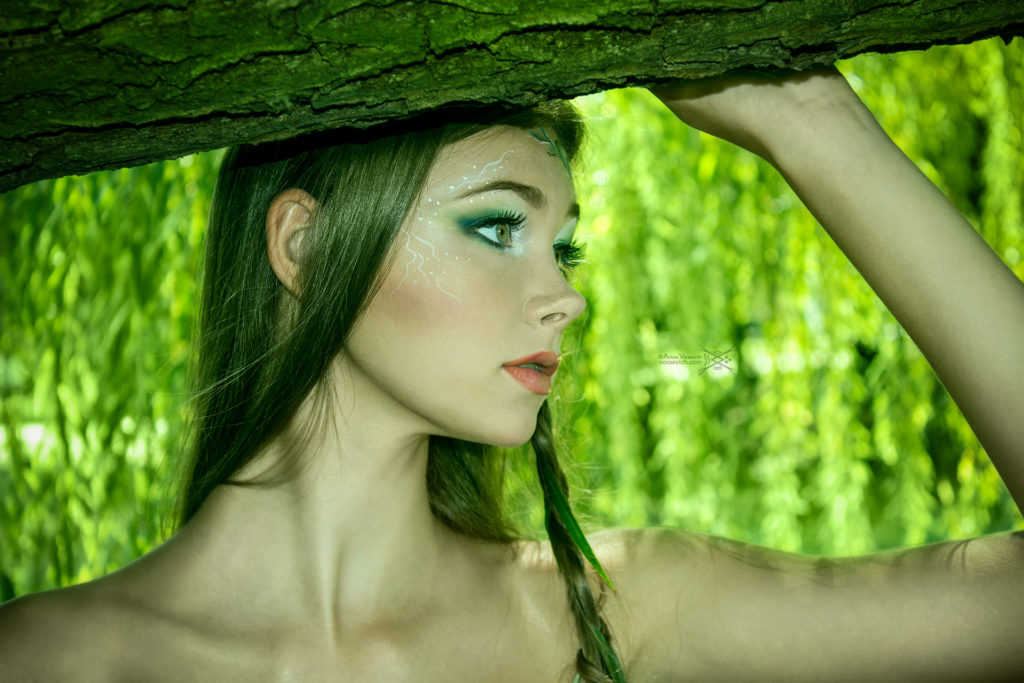 Forest Fairy